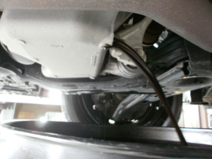 OLYMPUS DIGITAL CAMERA