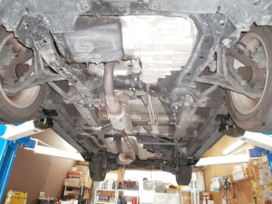 OLYMPUS DIGITAL CAMERA