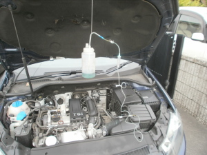 OLYMPUS DIGITAL CAMERA