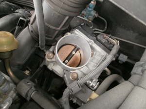 OLYMPUS DIGITAL CAMERA