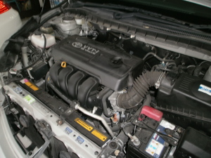 OLYMPUS DIGITAL CAMERA