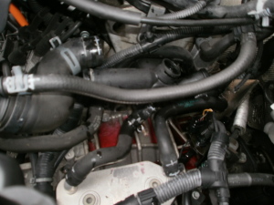 OLYMPUS DIGITAL CAMERA