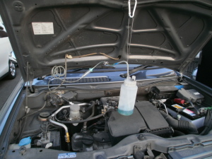 OLYMPUS DIGITAL CAMERA