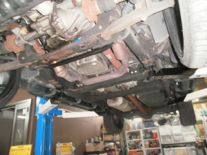 OLYMPUS DIGITAL CAMERA