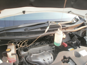 OLYMPUS DIGITAL CAMERA