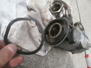 OLYMPUS DIGITAL CAMERA