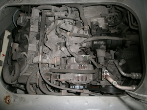 OLYMPUS DIGITAL CAMERA