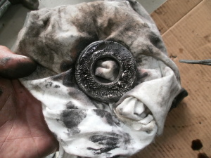 OLYMPUS DIGITAL CAMERA