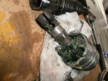 OLYMPUS DIGITAL CAMERA